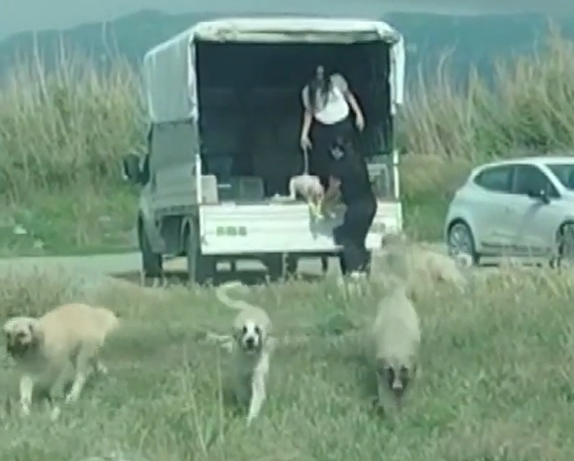 Mileyha Bölgesi’ne köpek bırakan 2 kişiye 540 bin TL idari para cezası