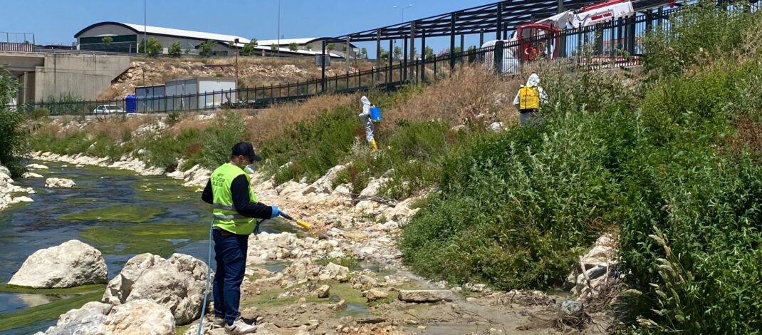 Altınözü’nde ilaçlama çalışmaları sürüyor