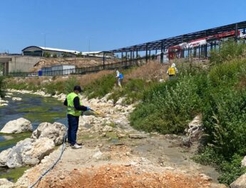 Altınözü’nde ilaçlama çalışmaları sürüyor
