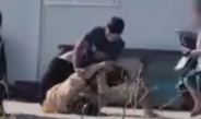 Eşine şiddet uygulayan koca yakalandı
