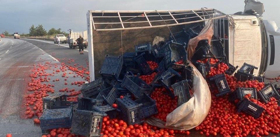 Domates yüklü bir kamyonet devrildi: 2 yaralı